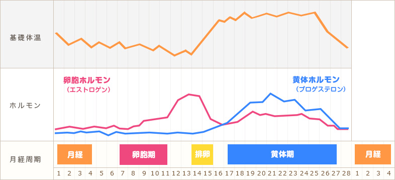 骨盤矯正ダイエット・整体ビフォー&アフター|さくら整体院 奈良 » 奈良市 整体|さくら整体院 JR奈良駅→3分 骨盤矯正ダイエット+小顔矯正 カイロプラクティック整体院