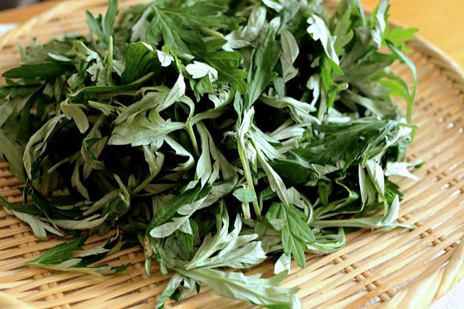 よもぎ蒸し 黄土よもぎ蒸し 奈良 さくらエステ » 奈良市 整体|さくら整体院 JR奈良駅→3分 骨盤矯正ダイエット+小顔矯正 カイロプラクティック整体院