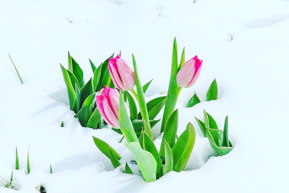 奈良市 さくら整体院(JR奈良駅)骨盤矯正 整体 骨盤矯正ダイエット 小顔矯正 リンパ マッサージ » 奈良市 整体|さくら整体院 JR奈良駅→3分 骨盤矯正ダイエット+小顔矯正 カイロプラクティック整体院 奈良市 さくら整体院(JR奈良駅)骨盤矯正 整体 骨盤矯正ダイエット 小顔矯正 リンパ マッサージ