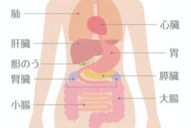 骨盤矯正 整体 マッサージ 奈良