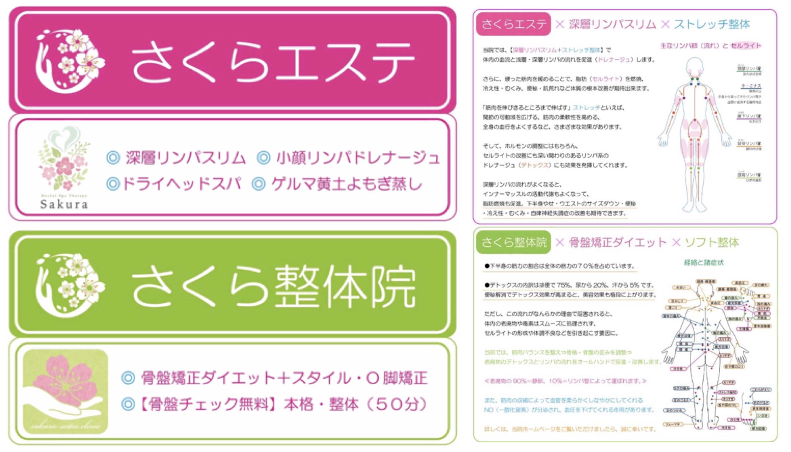 さくら整体院 さくらエステ 骨盤矯正ダイエット 深層リンパスリム リンパマッサージ ドライヘッドスパ » 奈良市 整体|さくら整体院 JR奈良駅→3分 骨盤矯正ダイエット+小顔矯正 カイロプラクティック整体院 さくら整体院 さくらエステ 骨盤矯正ダイエット 深層リンパスリム リンパマッサージ ドライヘッドスパ