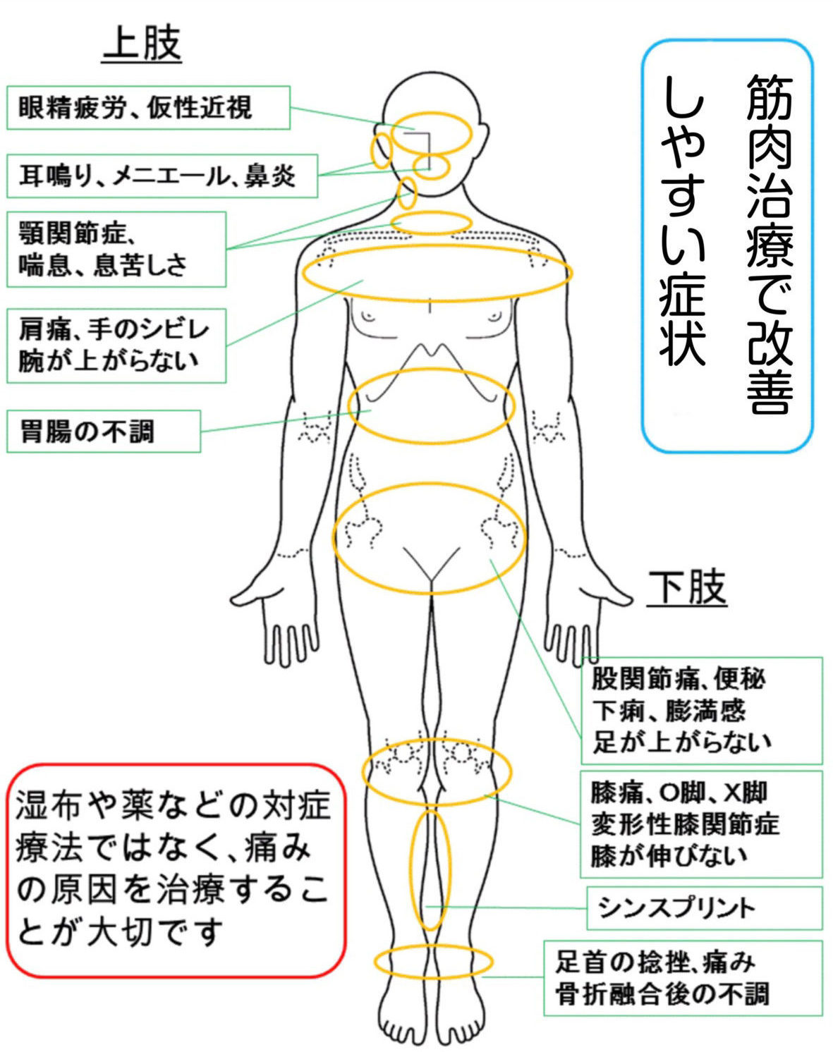 奈良市 整体院 肋骨矯正 小顔矯正 骨盤矯正 骨盤矯正ダイエット 整体