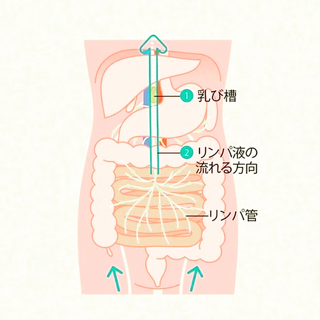 奈良県奈良市｜整体 猫背 反り腰 骨盤矯正 マッサージ 腸もみ 乳び槽 ダイエット