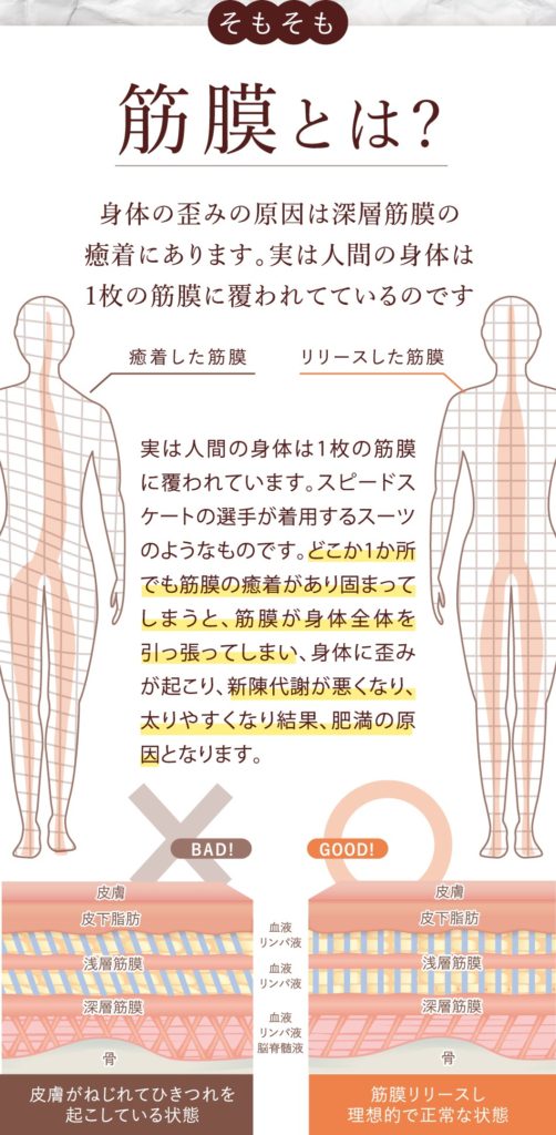 奈良県奈良市｜整体 猫背 反り腰 骨盤矯正 マッサージ 筋膜リリース ダイエット