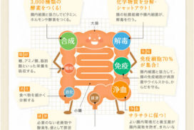 奈良県奈良市｜整体 猫背 反り腰 骨盤矯正 マッサージ 腸もみ ダイエット