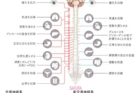 奈良県 奈良市 JR奈良駅 自律神経失調症