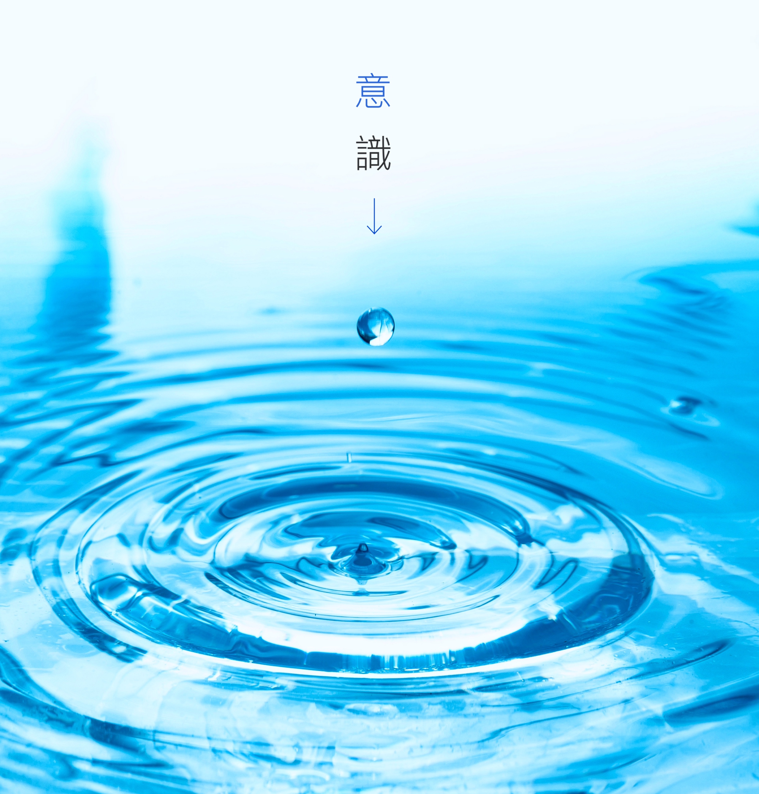 奈良市 バレエ さくら整体院 O脚 X脚 膝痛