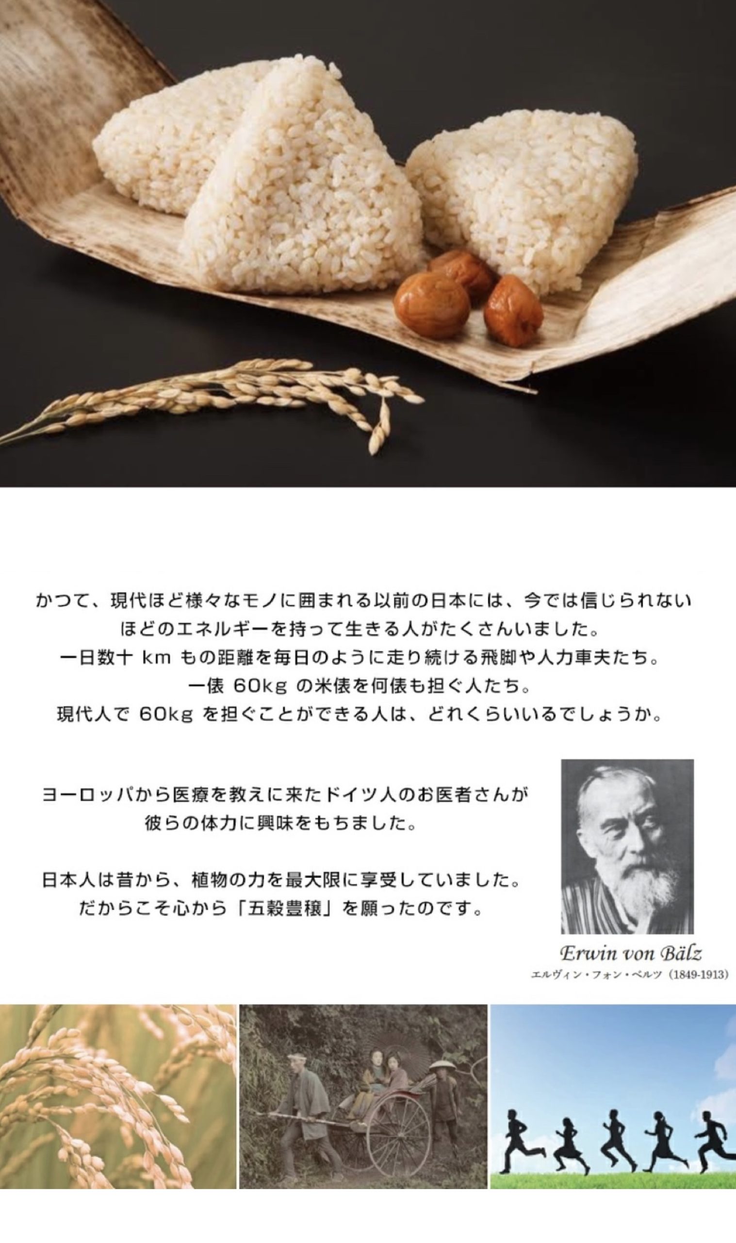 「人類が到達した、最高の食事が存在する。それは、日本の伝統食である」