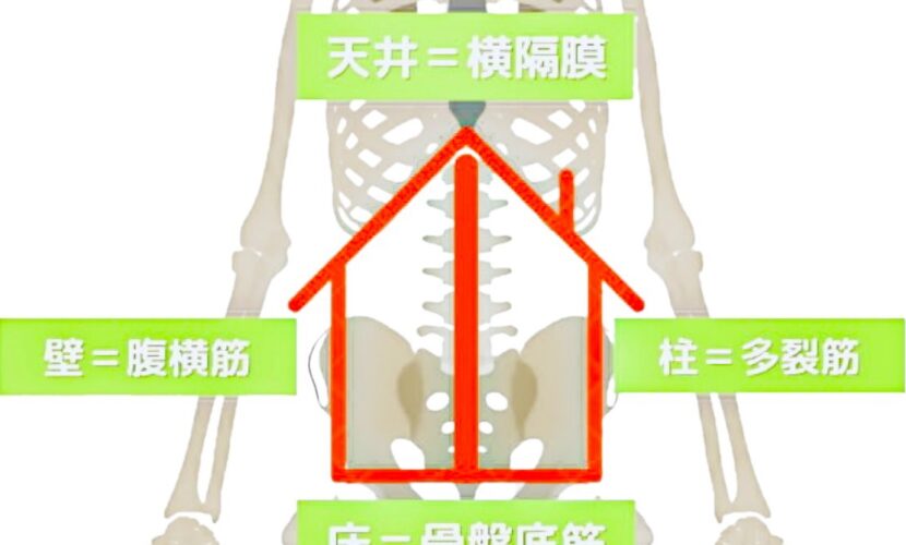 奈良県奈良市姿勢矯正