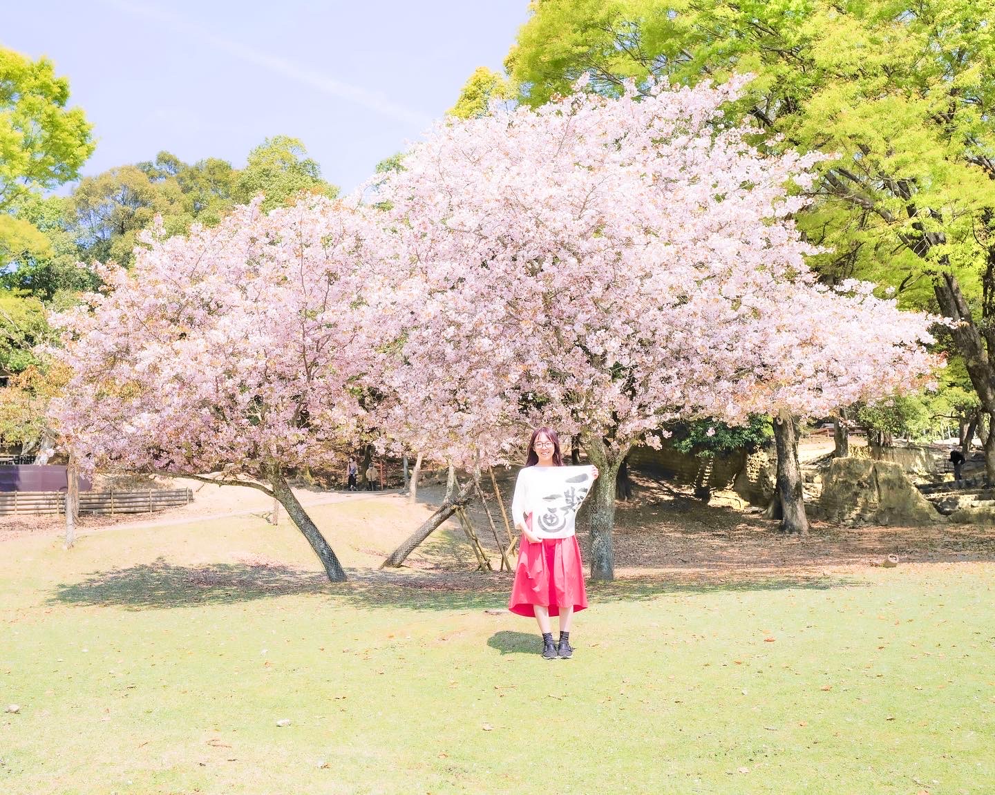 桜の木の下で「さくら整体院」🌸🙏