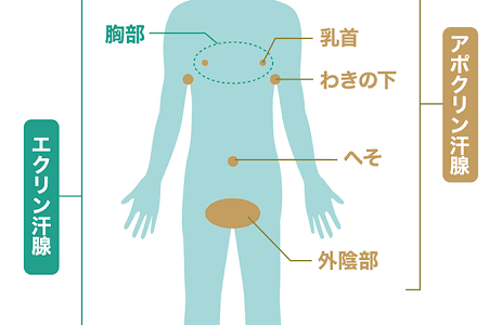 奈良市リンパドレナージュ