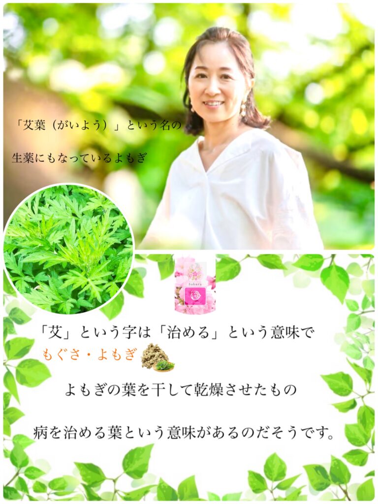 奈良市よもぎ蒸し » 奈良市 整体|さくら整体院 JR奈良駅→3分 骨盤矯正ダイエット+小顔矯正 カイロプラクティック整体院 奈良市よもぎ蒸し