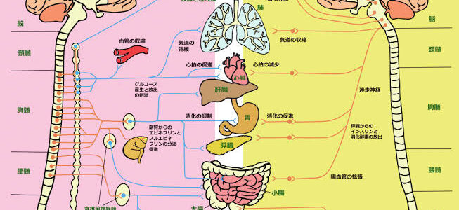 自律神経失調症