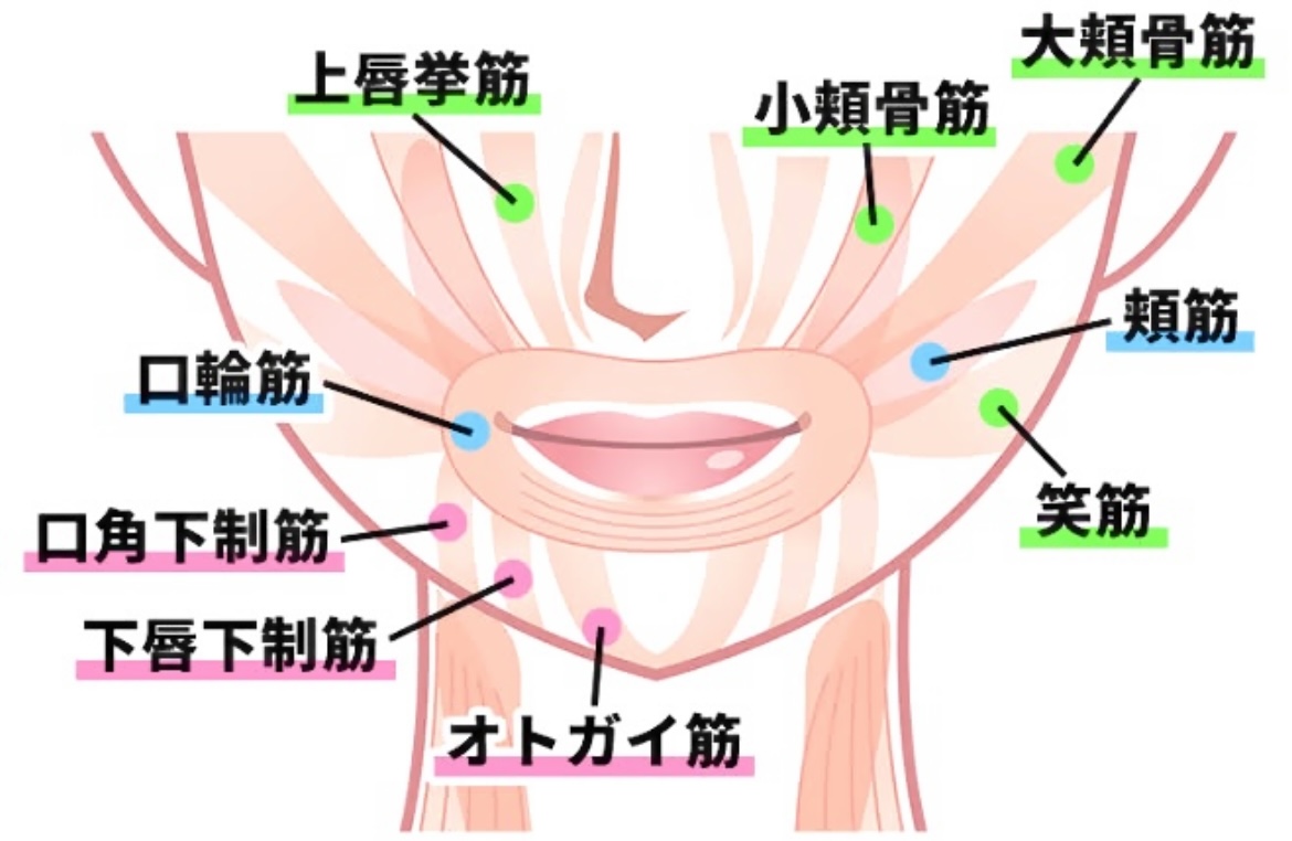 筋膜マッサージで口角のリフトアップ⤴︎