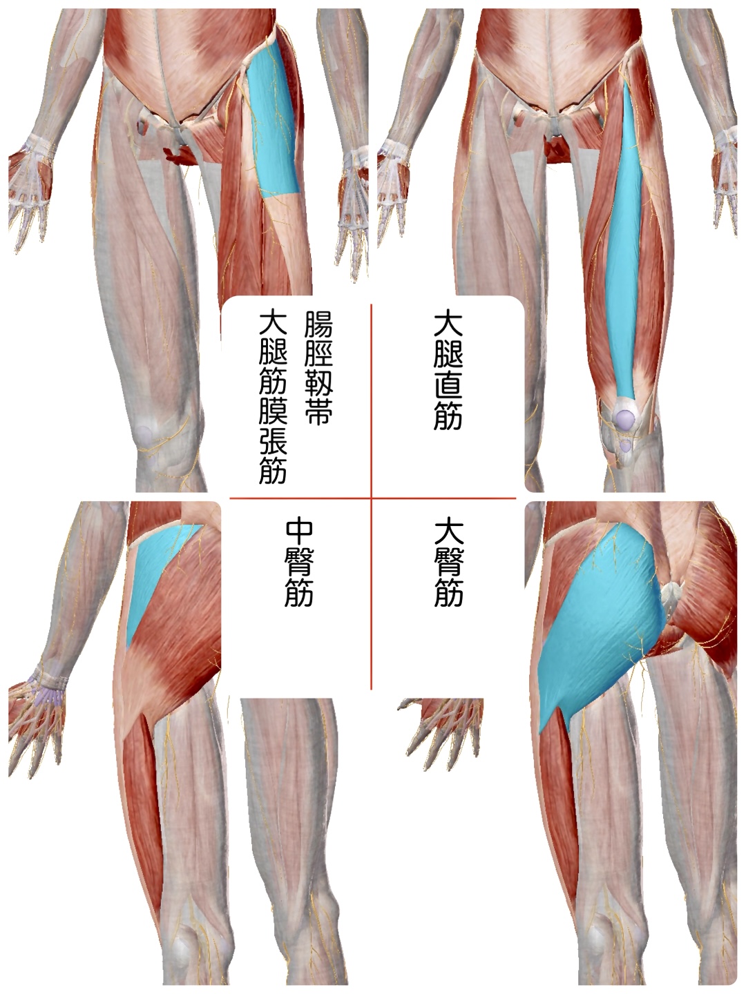 奈良市ストレッチ整体