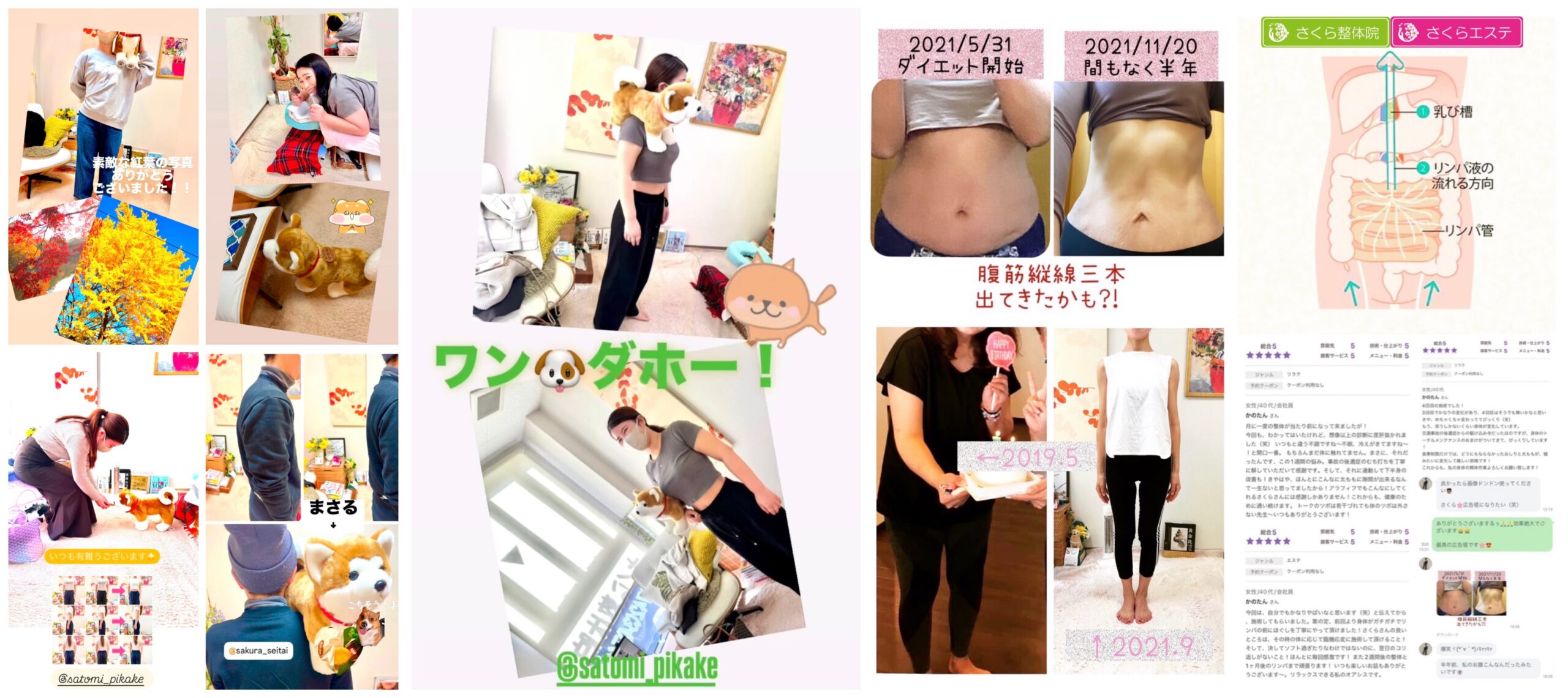 奈良市整体口コミ » 奈良市 さくら整体院 JR奈良駅 整体・骨盤矯正 奈良市整体口コミ