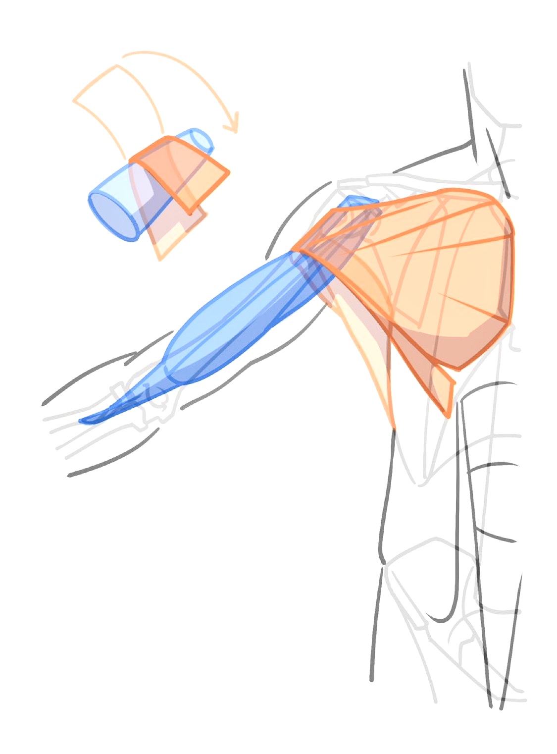 四十肩・五十肩