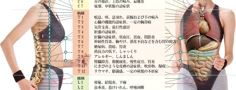 体の歪みと病気