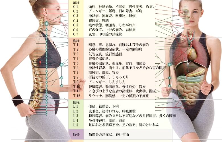 体の歪みと病気
