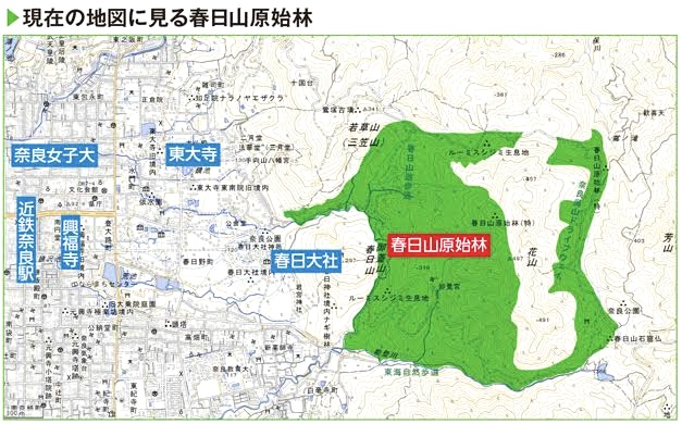 奈良県奈良市マッサージ・リラクゼーション » 奈良市 整体|さくら整体院 JR奈良駅→3分 骨盤矯正ダイエット+小顔矯正 カイロプラクティック整体院 奈良県奈良市 奈良公園 春日原始林