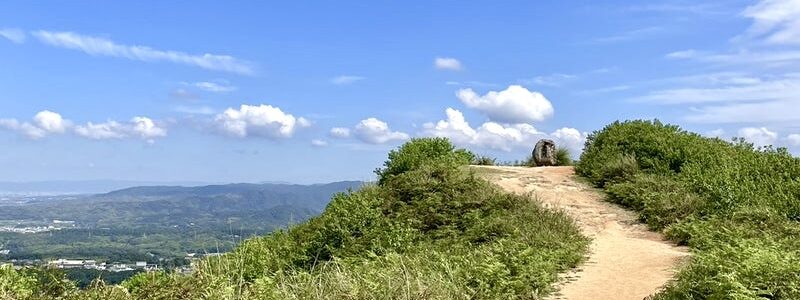 奈良市 奈良公園 春日原始林