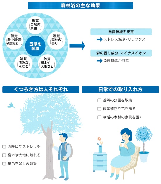 奈良市ストレッチ » 奈良市 整体|さくら整体院 JR奈良駅→3分 骨盤矯正ダイエット+小顔矯正 カイロプラクティック整体院 森林セラピー