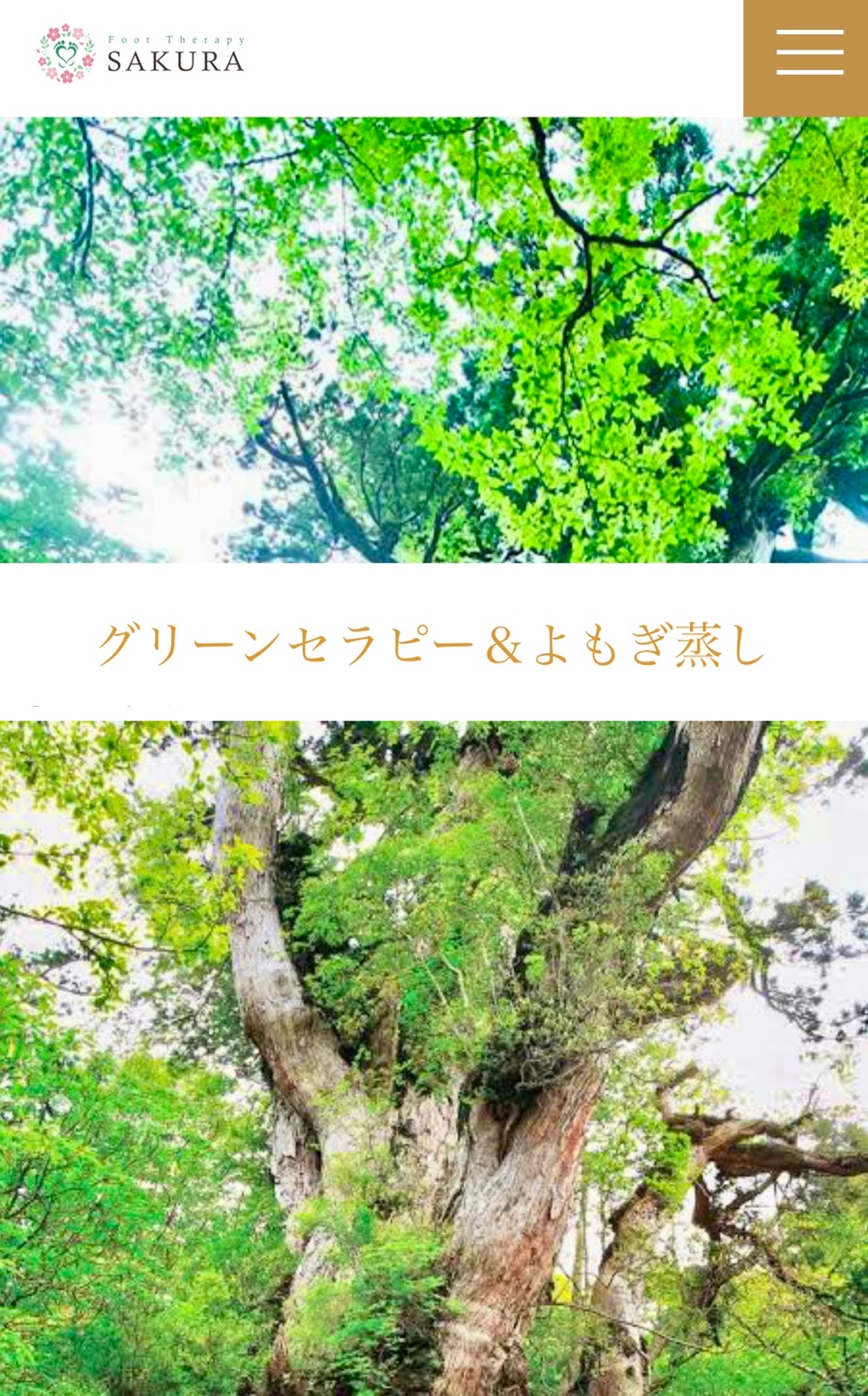 奈良県奈良市 奈良公園 春日原始林 » 奈良市 整体|さくら整体院 JR奈良駅→3分 骨盤矯正ダイエット+小顔矯正 カイロプラクティック整体院 奈良市リラクゼーション