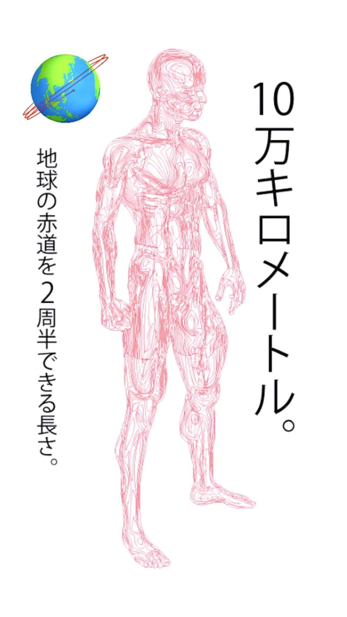 人体の不思議