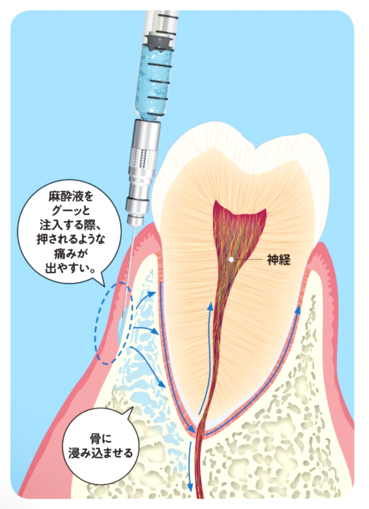 奈良市歯科
