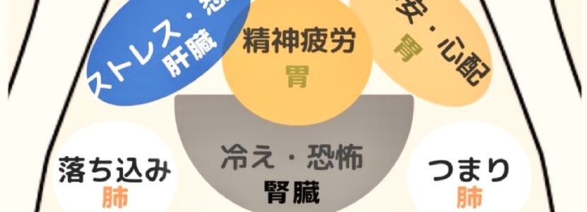 内臓