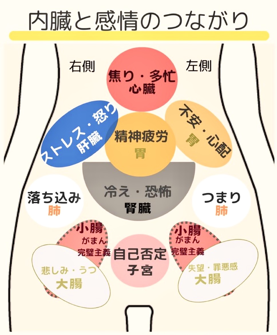 内臓