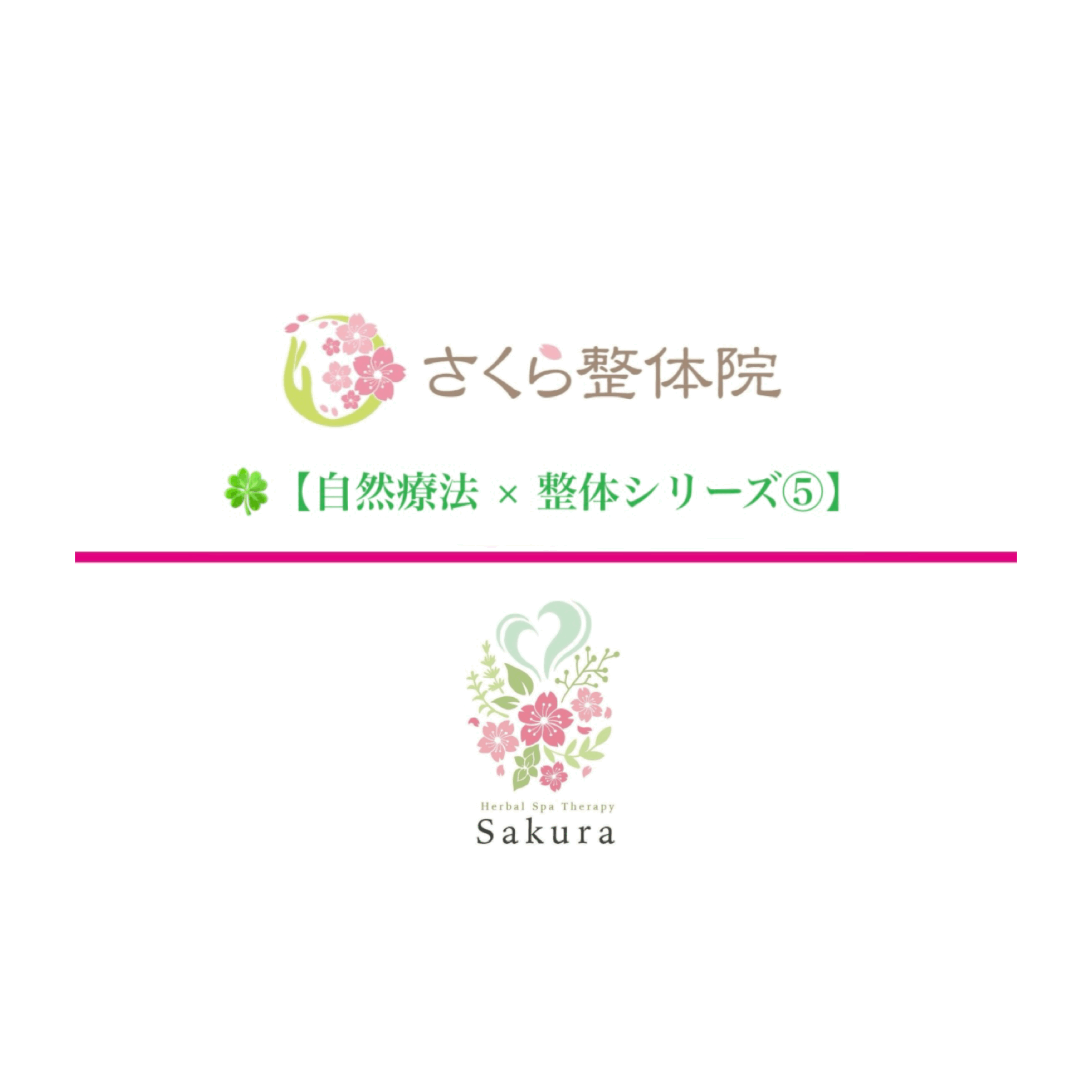 自然療法 × 整体シリーズ⑤さくら整体院