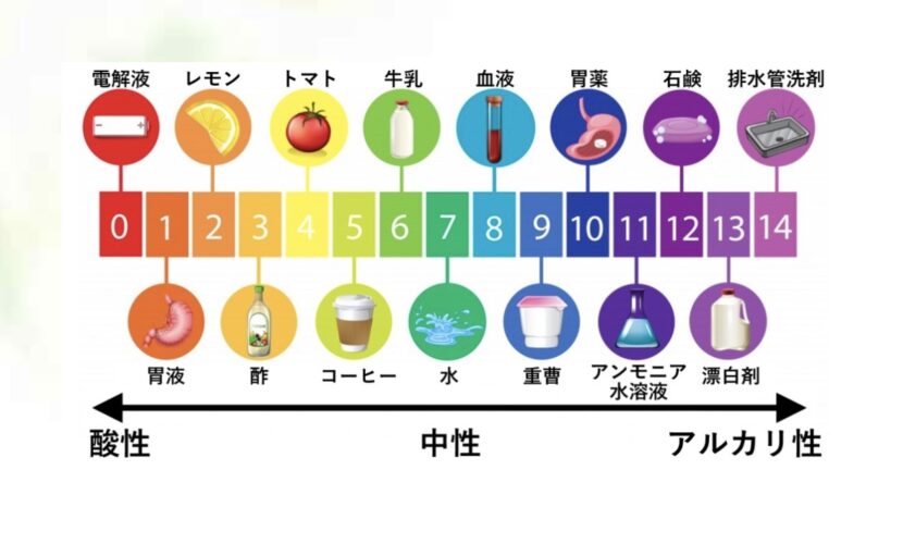 PHアルカリ性