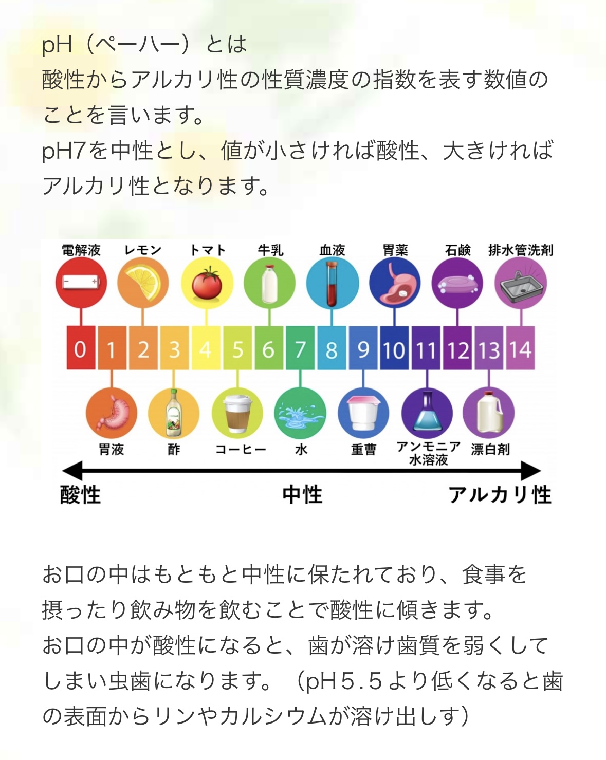 PHアルカリ性