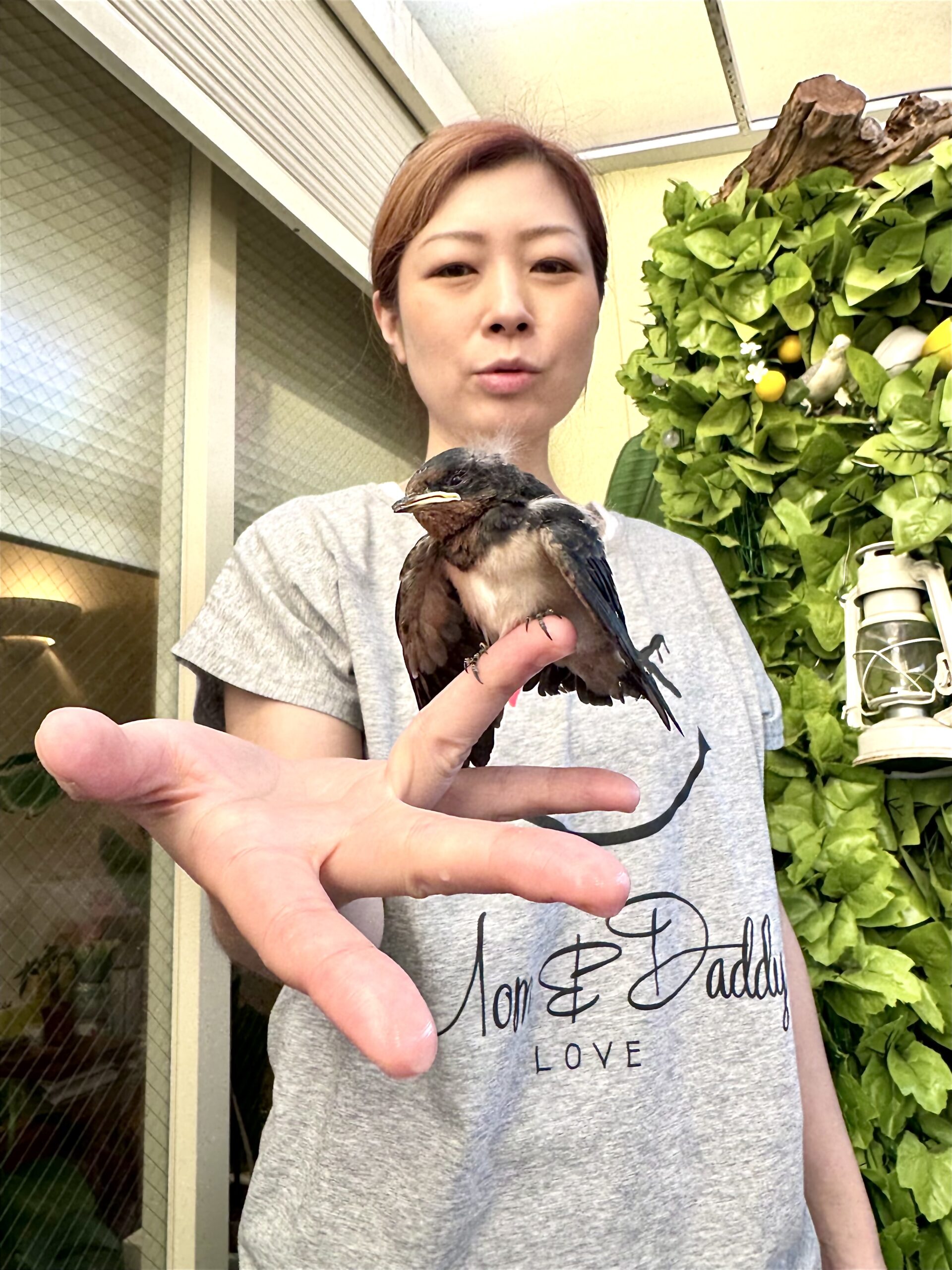 奈良市さくらエステさくら整体院 » 奈良市 整体|さくら整体院 JR奈良駅→3分 骨盤矯正ダイエット+小顔矯正 カイロプラクティック整体院 奈良市さくらエステさくら整体院