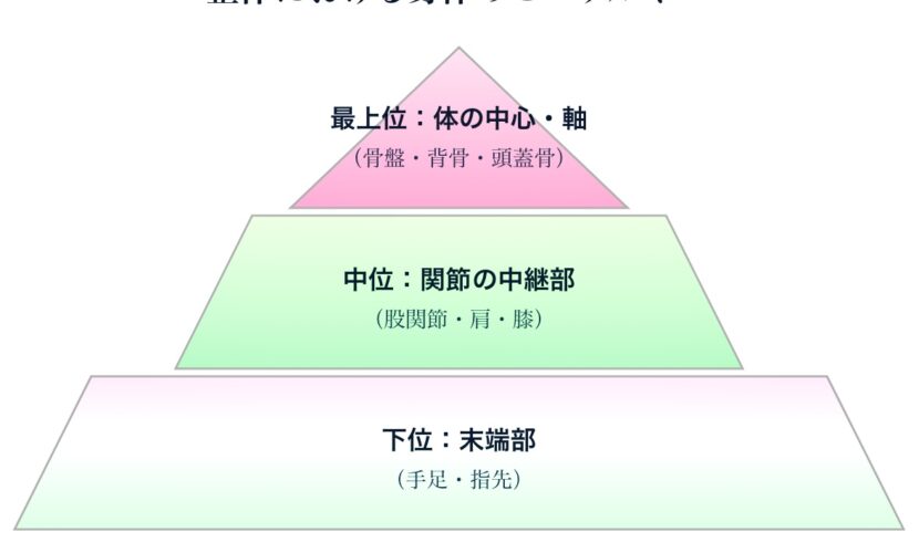 整体ヒエラルキー1