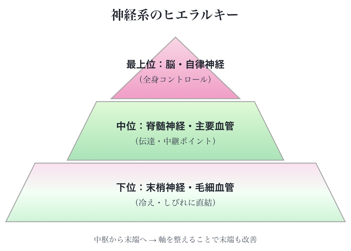 整体ヒエラルキー2