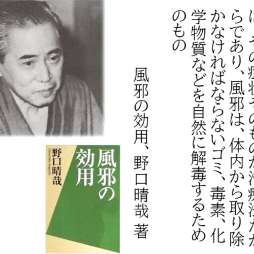 野口整体《風邪の効用と自然治癒力》 » 奈良市 整体 さくら整体院｜JR