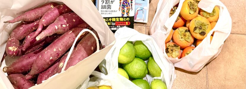 JR奈良駅さくら整体院