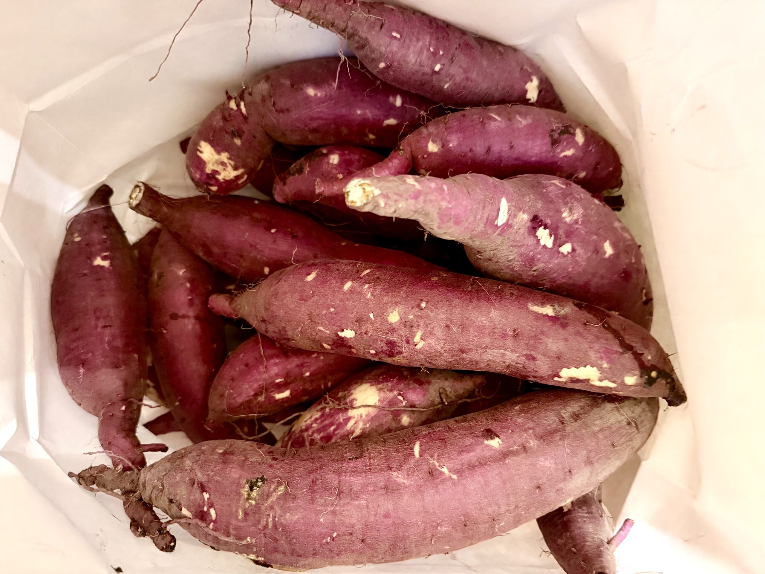 JR奈良駅さくら整体院 » 奈良市 整体|さくら整体院 JR奈良駅→3分 骨盤矯正ダイエット+小顔矯正 カイロプラクティック整体院 JR奈良駅さくら整体院