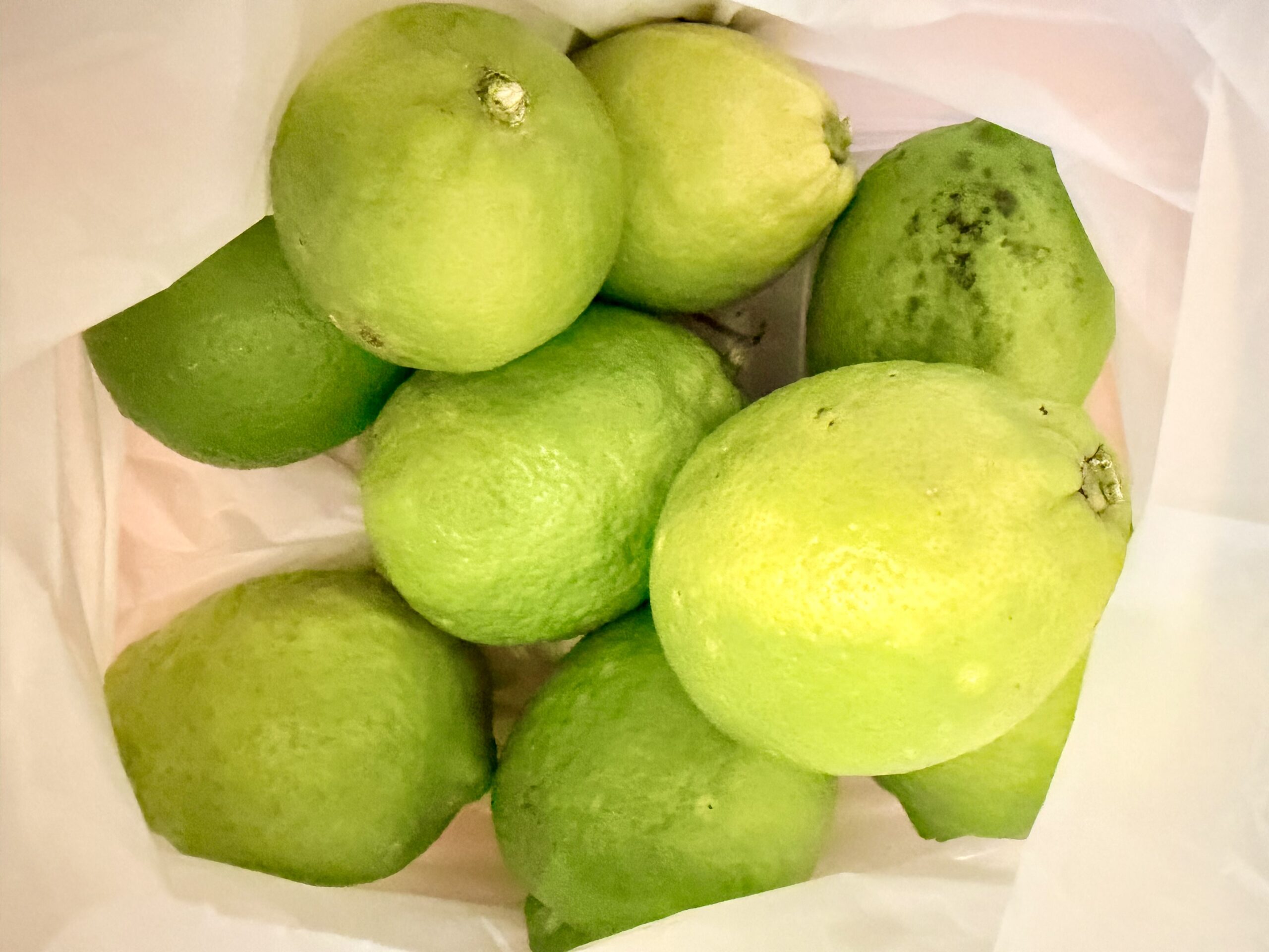 JR奈良駅さくら整体院 » 奈良市 整体|さくら整体院 JR奈良駅→3分 骨盤矯正ダイエット+小顔矯正 カイロプラクティック整体院 JR奈良駅さくら整体院