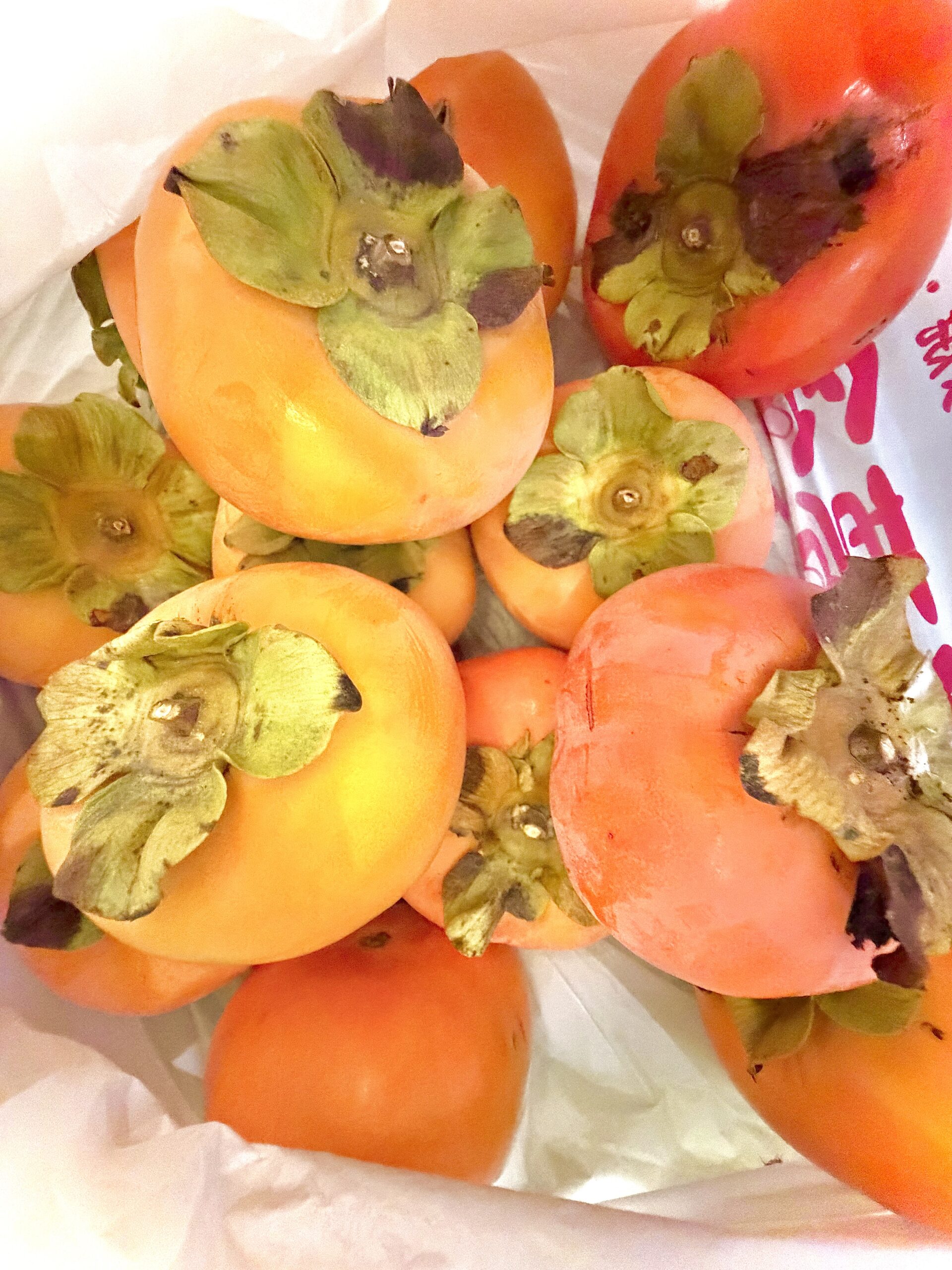 JR奈良駅さくら整体院 » 奈良市 整体|さくら整体院 JR奈良駅→3分 骨盤矯正ダイエット+小顔矯正 カイロプラクティック整体院 JR奈良駅さくら整体院