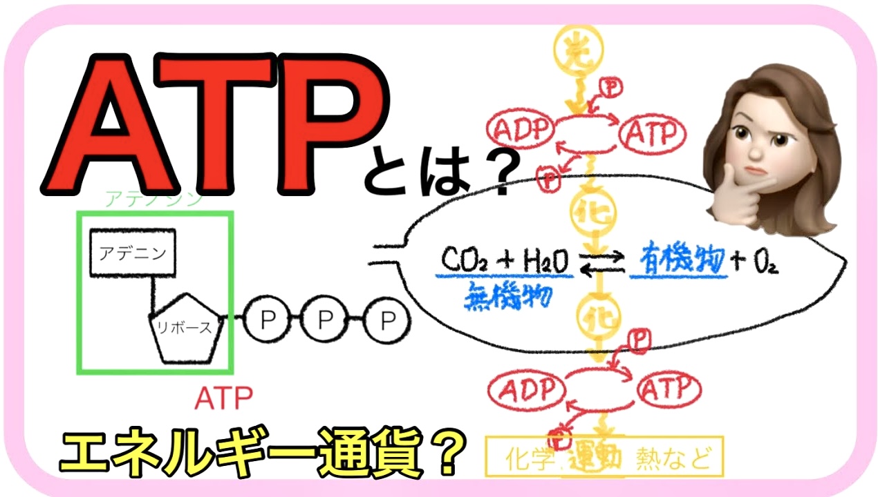 ミトコンドリアATP