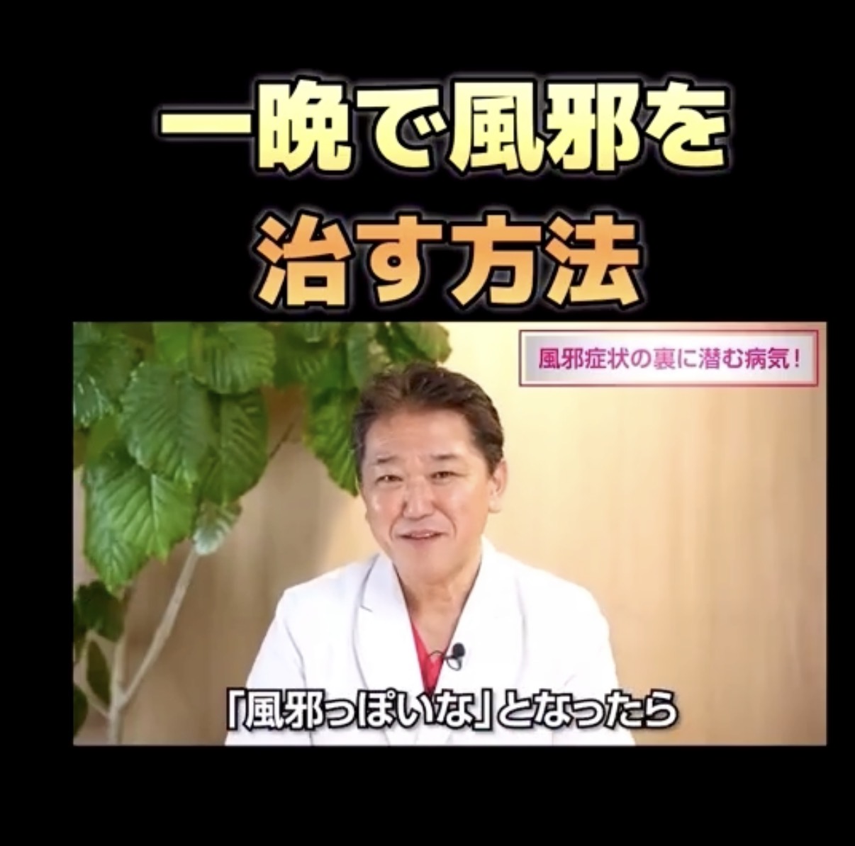 野口整体《風邪の効用と自然治癒力》 » 奈良市の整体 さくら整体院