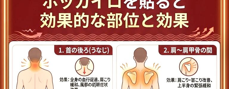 奈良市 カイロ おすすめ