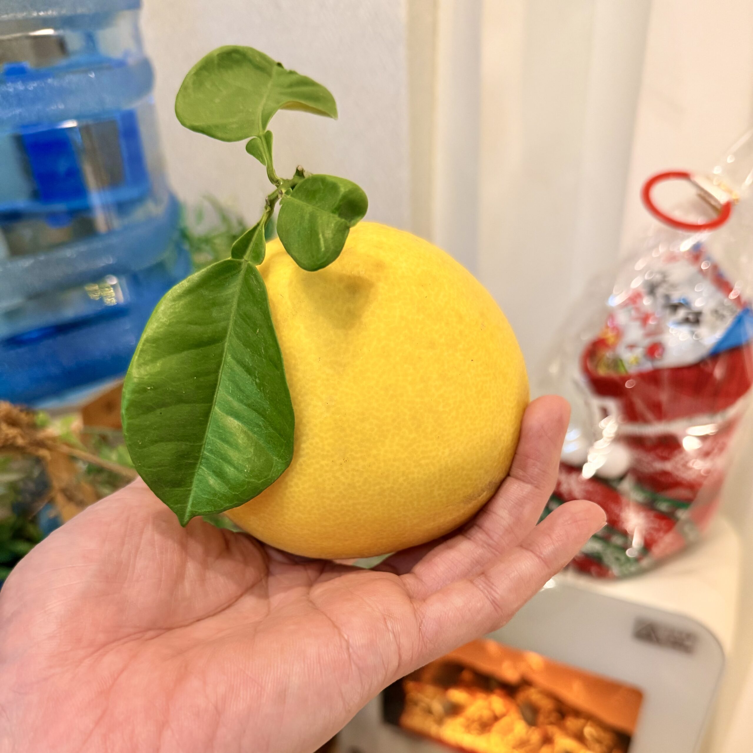 奈良市さくら整体院