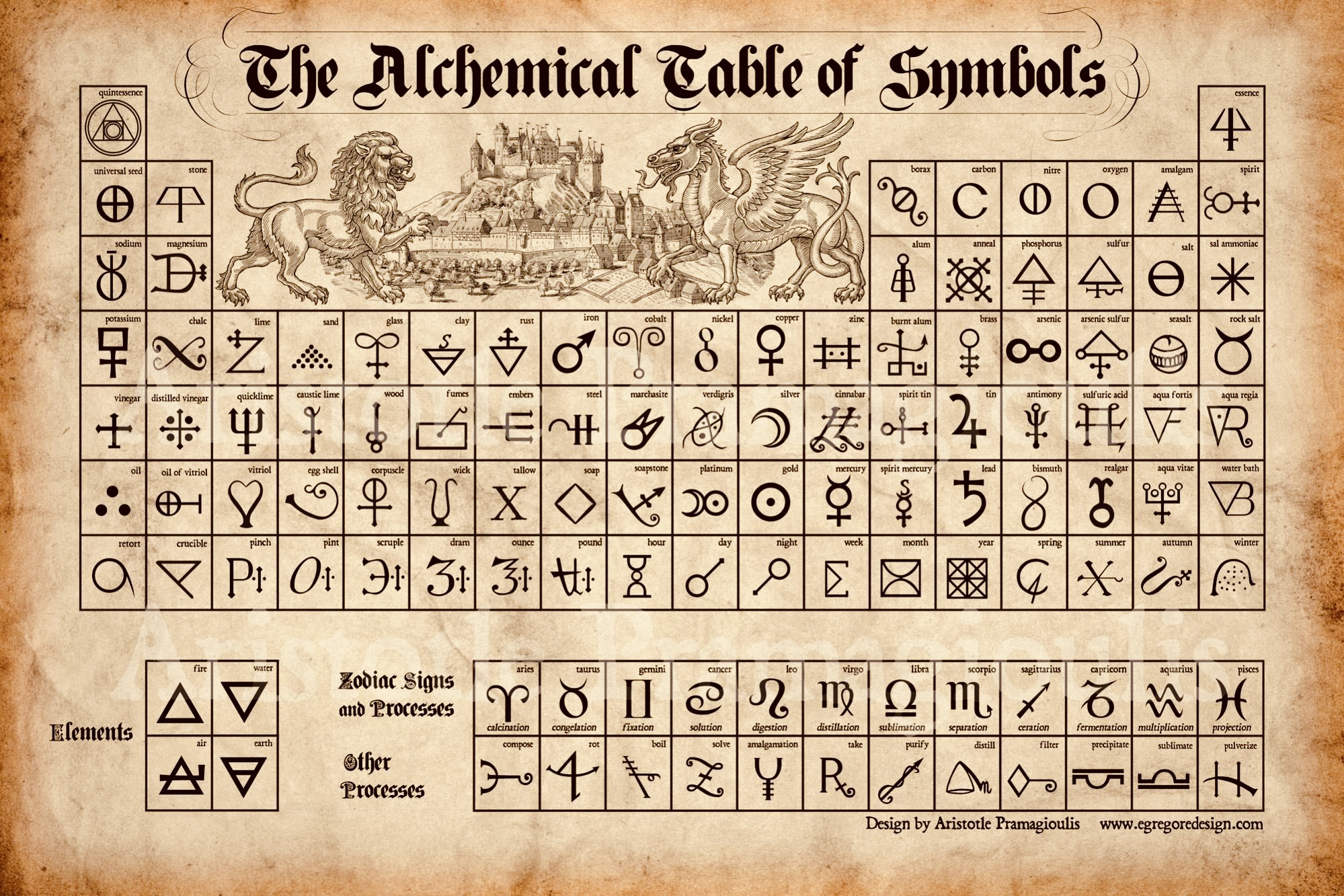 整体・リンパで読み解く人体の設計図