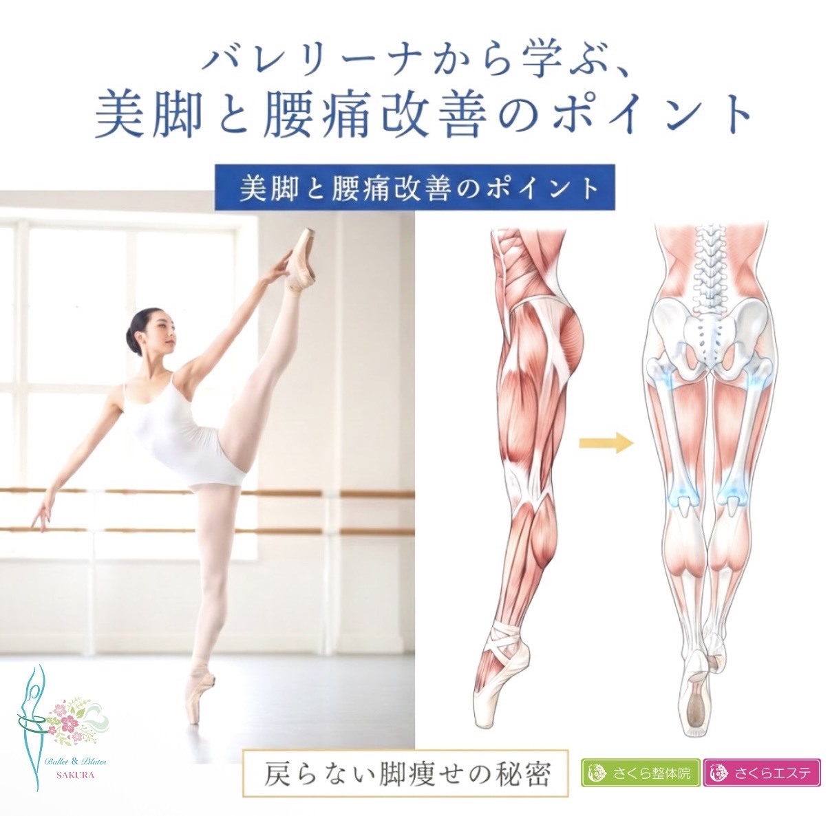 バレリーナから学ぶ、美脚と腰痛改善のポイント