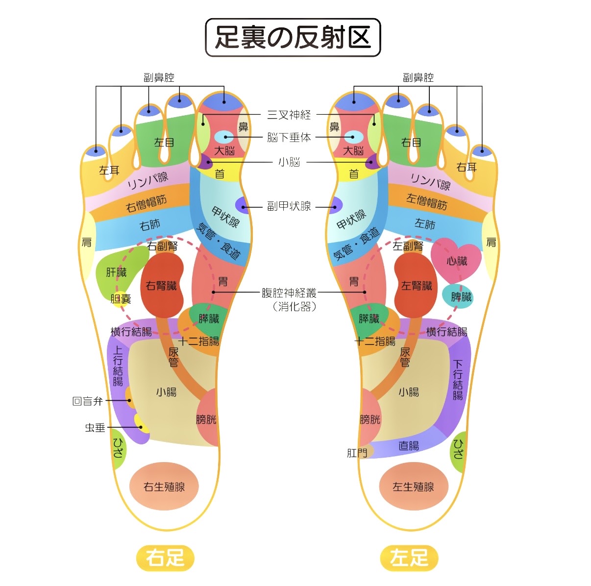奈良市ストレッチ整体