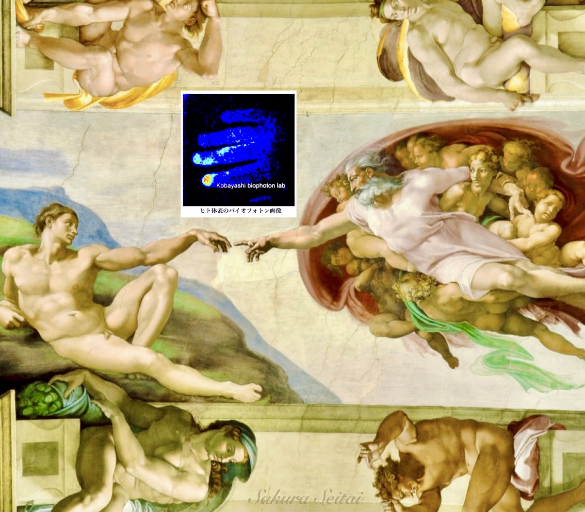 奈良市ゴッドハンド整体院